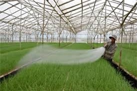 Ưu đãi cho doanh nghiệp đầu tư vào nông nghiệp, nông thôn