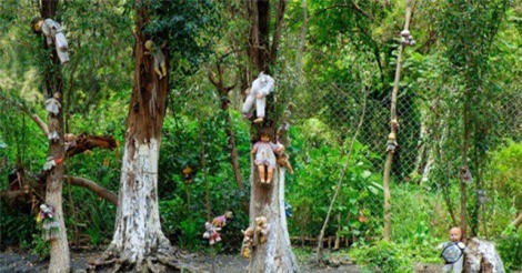 6 loại hình du lịch ghê rợn không dành cho người yếu tim