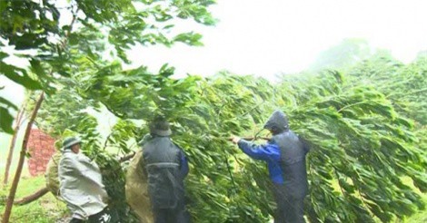 DỰ BÁO THỜI TIẾT (27/4): Hà Nội mưa to, TP.HCM nóng 36 độ C