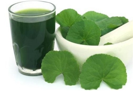 Cách trị nám da sau sinh bằng rau má hiệu quả