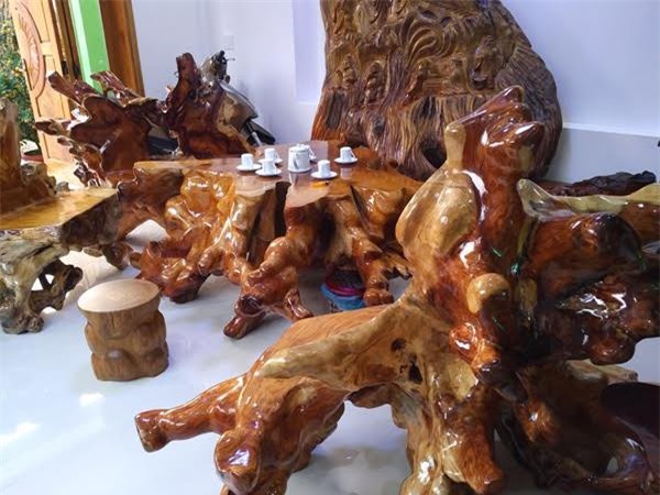 Đại gia Quảng Nam "khoe" bộ bàn ghế gỗ sưa ngàn năm tuổi 