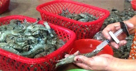 Hai đối tượng bơm tạp chất vào tôm bị phạt gần 200 triệu đồng