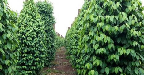 Hakinvest (HKB) báo lỗ quý thứ 4 liên tiếp