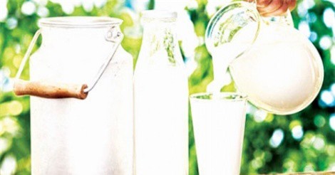 Thách thức với doanh nghiệp sữa Việt