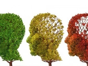 Thiếu ngủ làm tăng nguy cơ bệnh Alzheimer