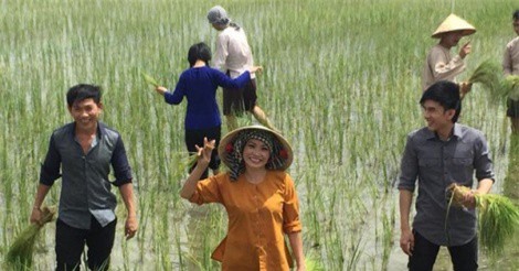 Gạo Việt tăng chất, được giá hơn gạo Thái Lan 15-20 USD/tấn