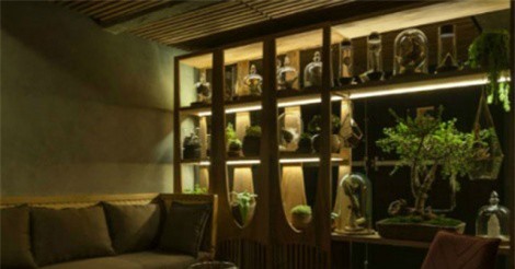 Không gian ma mị trong quán bar pháp sư ở Mexico