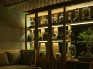Không gian ma mị trong quán bar pháp sư ở Mexico