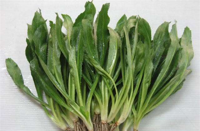 Mẹo chữa cảm cúm hiệu quả bằng mùi tàu