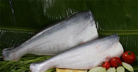 Những lý do nên ăn cá tra thường xuyên