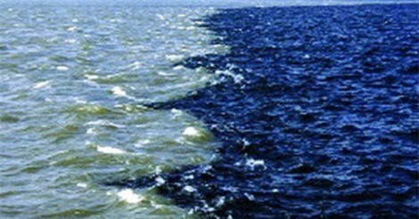 Phát hiện một vùng nước chết rộng hàng ngàn km ở biển Arap