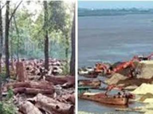 Phó Thủ tướng yêu cầu chấn chỉnh tình trạng phá rừng, khai thác cát, sỏi trái phép