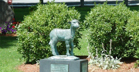 Bí mật đằng sau bài hát 'Mary Had a Little Lamb'