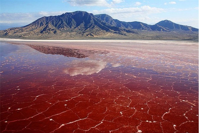 Hồ tử thần - nơi sảy chân ngã xuống sẽ bị hóa đá