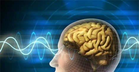 Những thực phẩm gây tổn thương não bộ