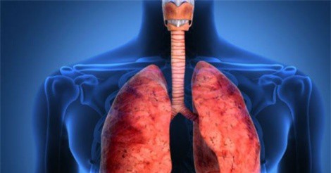 Tự chế thức uống giúp thanh lọc phổi hiệu quả