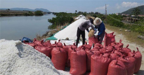 Muối rớt giá xuống 600 đồng/kg, diêm dân Phú Yên gặp khó