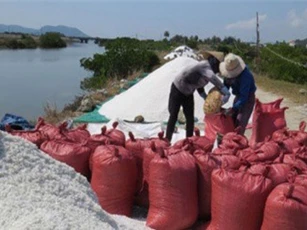 Muối rớt giá xuống 600 đồng/kg, diêm dân Phú Yên gặp khó
