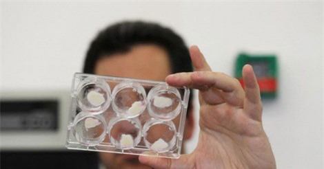 Sản xuất thịt nhân tạo ở Israel