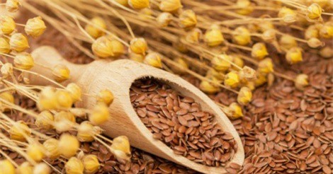 Công dụng làm đẹp và chữa bệnh tuyệt vời của hạt lanh