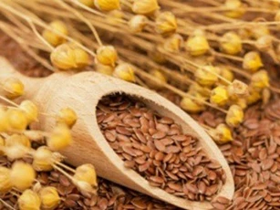 Công dụng làm đẹp và chữa bệnh tuyệt vời của hạt lanh