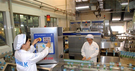 Giá sữa thu mua của Vinamilk cao hơn 171% so với thế giới