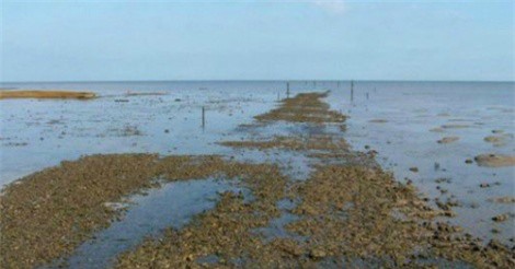 Con đường 'địa ngục' giết chết hơn 100 người ở Anh