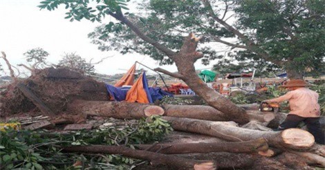 Đắk Lắk: Lốc xoáy lại làm tốc mái nhiều nhà dân, 1 người chết