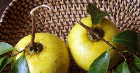 Quả thị và những điều chưa biết