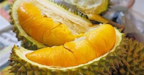 Sầu riêng ở vườn rớt giá, cửa hàng vẫn bán cao gấp tám lần