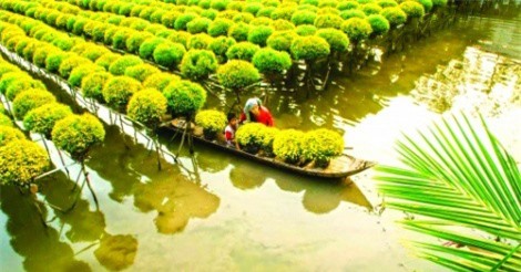 Agribank Bến Tre: Góp phần phát triển kinh tế địa phương