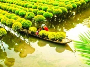 Agribank Bến Tre: Góp phần phát triển kinh tế địa phương