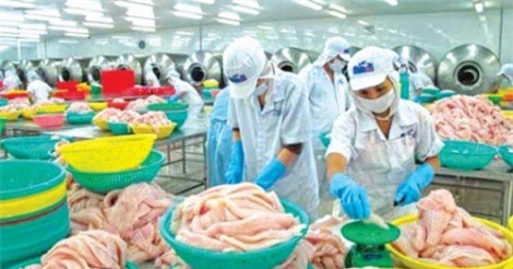 Kiểm dịch vẫn làm khó thủy sản xuất khẩu