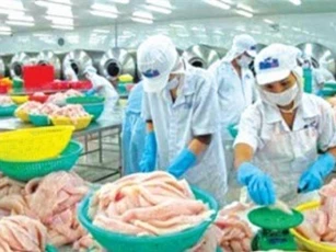Kiểm dịch vẫn làm khó thủy sản xuất khẩu