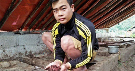 Làm giàu ở nông thôn: Cử nhân người Nùng về quê nuôi giun quế