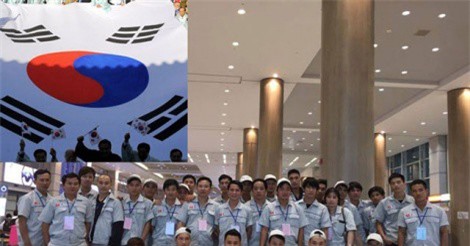 Bộ LĐTB&XH yêu cầu 49 huyện dừng tuyển lao động sang Hàn Quốc