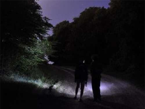 Rừng ma Transylvania - tam giác quỷ Bermuda trên mặt đất