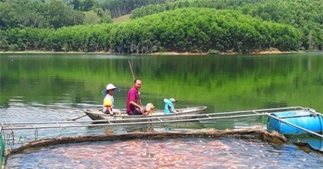 Trai 8X nuôi 2 con, trồng 2 cây, cầm chắc 10 triệu/tháng