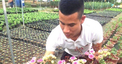Bảo vệ 9x bỏ việc về trồng hoa thu 450 triệu mỗi tháng