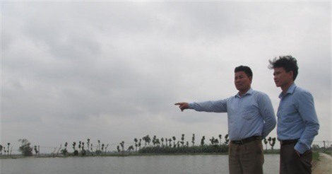 'Choáng' với trang trại nuôi cá theo công nghệ Thái Lan, thu 1 tỷ đồng/năm