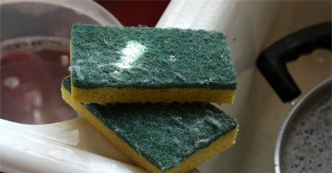 Clip: Hiểm họa tiềm tàng từ miếng rửa bát