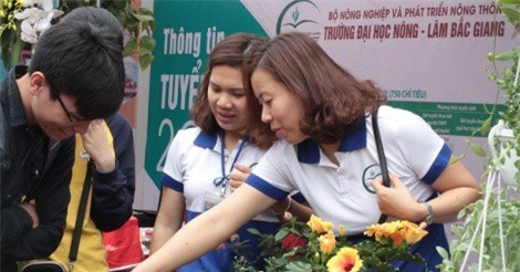 Khởi nghiệp được đưa vào chương trình đào tạo