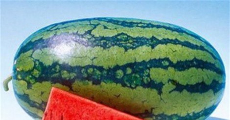 Những thực phẩm giúp bạn thanh lọc cơ thể ngày Hè