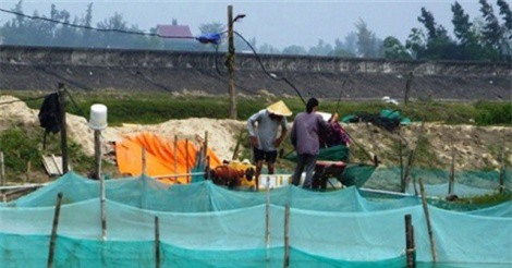 Thăm làng triệu phú ốc hương, doanh thu hơn 18 tỷ đồng/năm