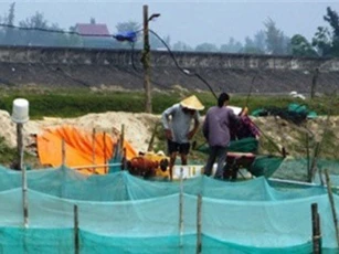 Thăm làng triệu phú ốc hương, doanh thu hơn 18 tỷ đồng/năm