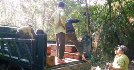  "Chảy máu" rừng Đakrông, Quảng Trị lập chốt chặn quy mô cấp tỉnh bảo vệ rừng