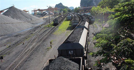 Đình chỉ 4 cán bộ để điều tra đường dây trộm than tại Hạ Long