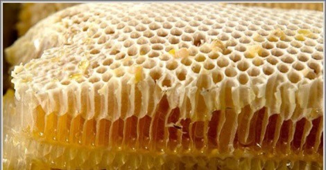 Khám phá công dụng chữa "bách bệnh" của sáp ong