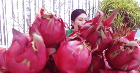 Trúng đậm thanh long nghịch vụ