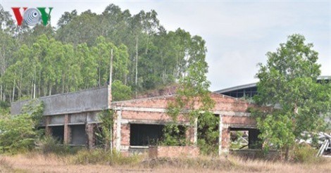 Chấm dứt hoạt động Nhà máy bột và giấy Tân Mai Quảng Ngãi